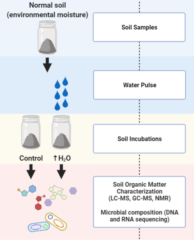 Experimental design metabolomics data